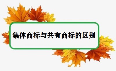 集体商标与共有商标的区别